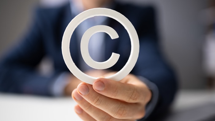 Trademark Copyright Law Grand Rapids Mi Attorneys